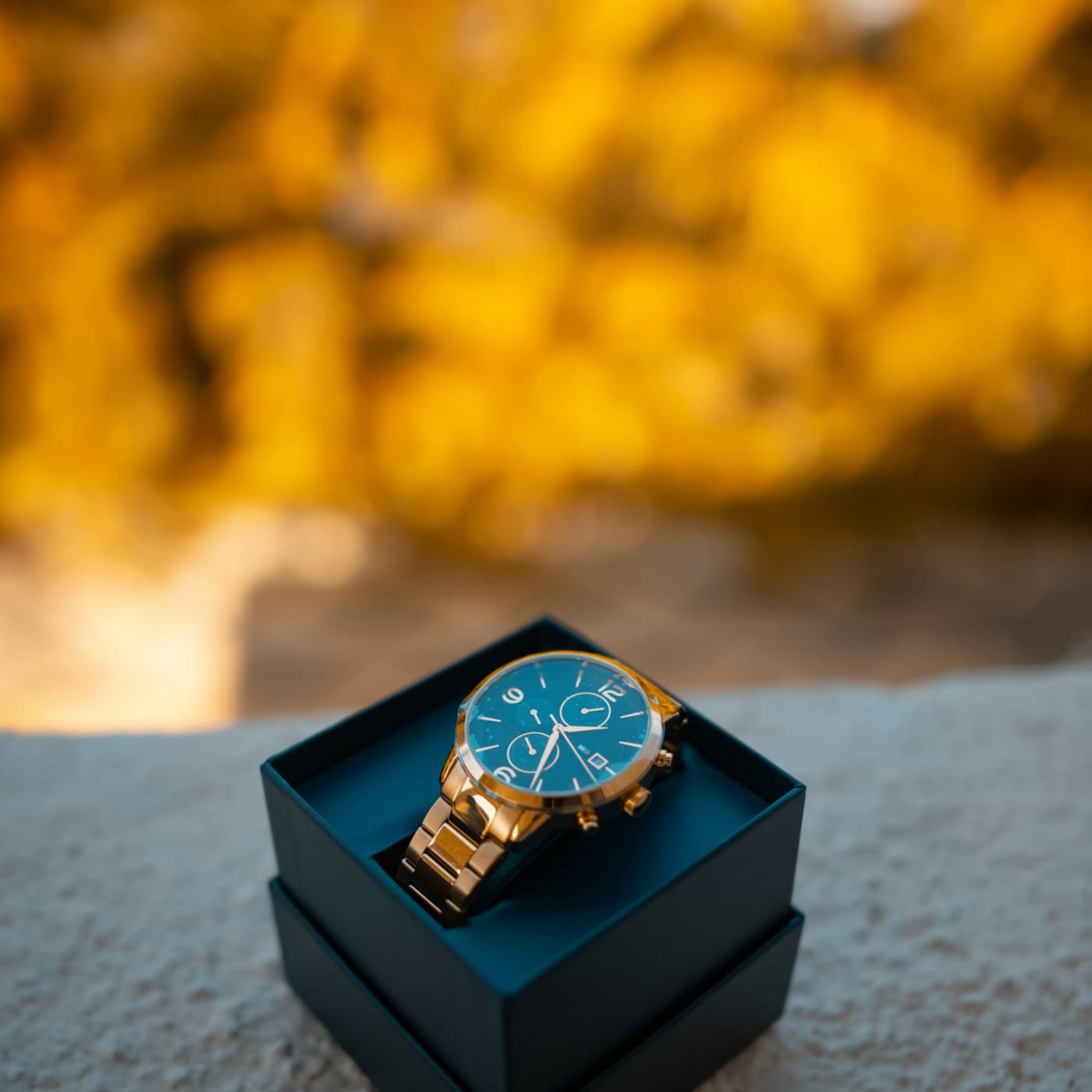 Midnight Gold Automatic Watch